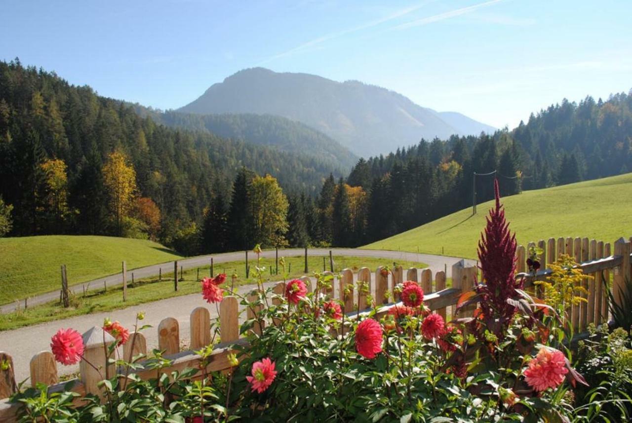 Familienbauernhof Glockriegl Villa Lunz am See Eksteriør billede